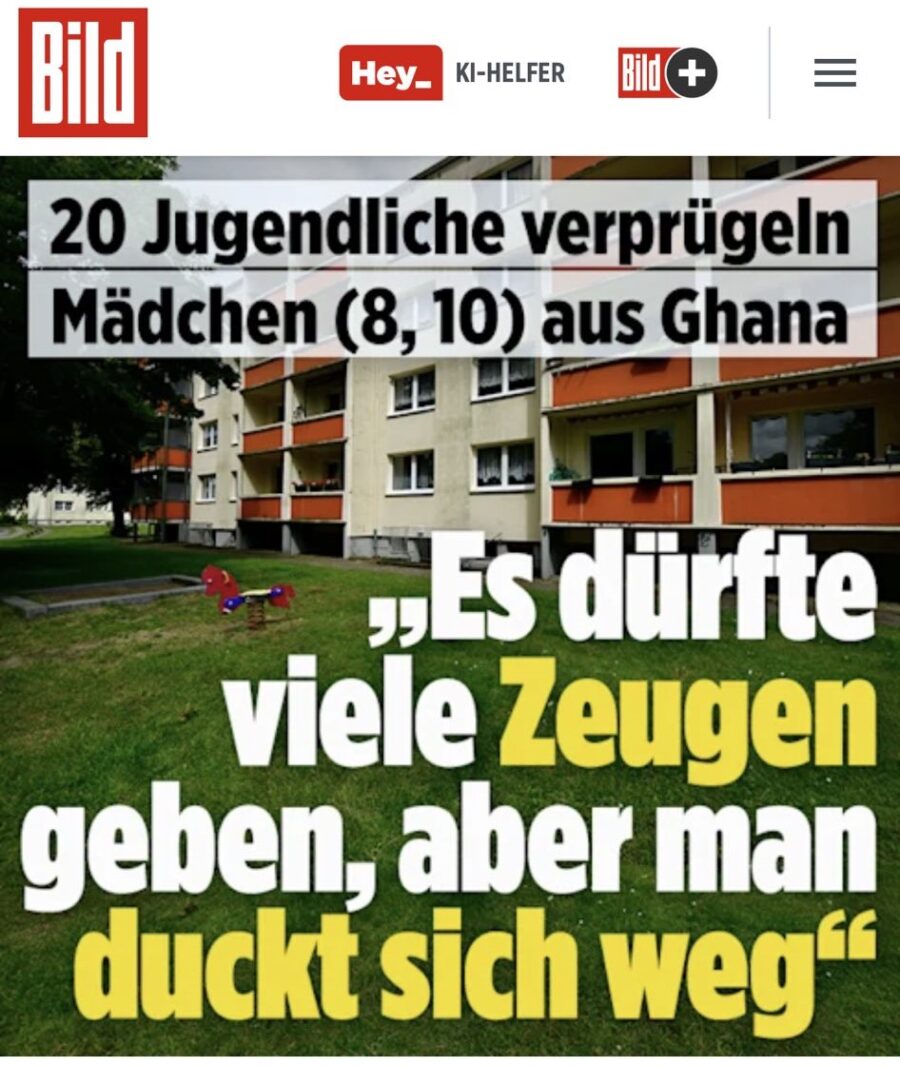 So berichtete die Bild-Zeitung am Wochenende über den angeblichen Angriff. Repro: JF