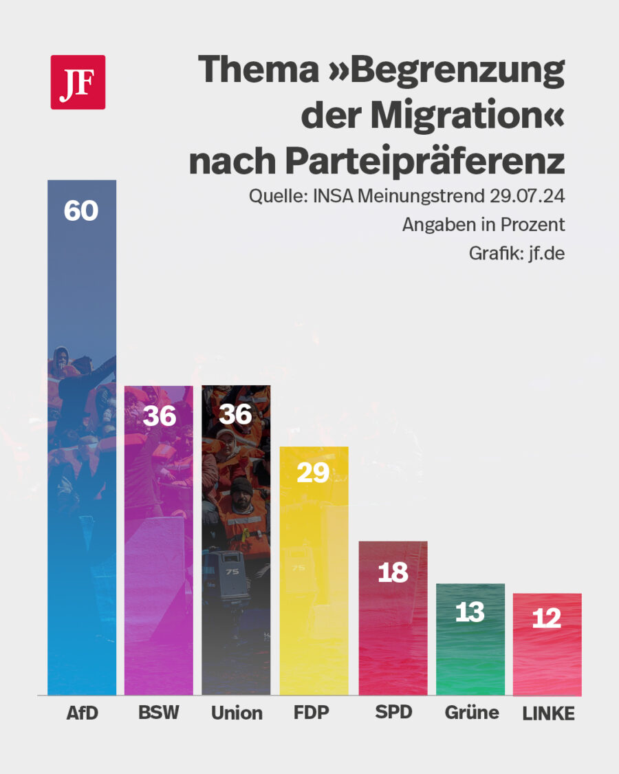 Besonders für AfD-Wähler ist das Thema Migration wahlentscheidend