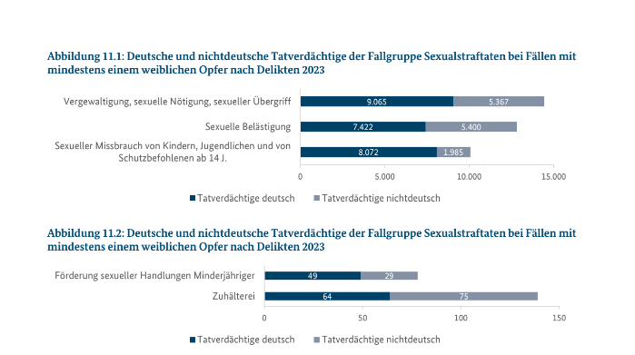 Auch bei den Sexualstraftaten trennt das BKA zwischen deutschen und nichtdeutschen Tätern. Über den etwaigen Migrationshintergrund wird keine Angabe gemacht.